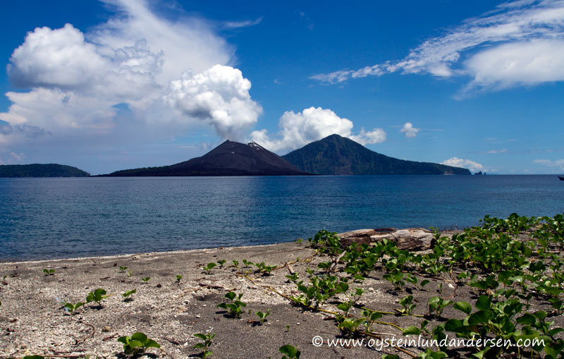 Anak-Krakatau-Feb2012-photo14