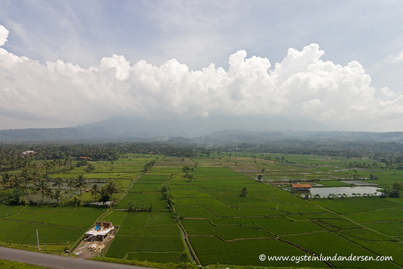 Galunggung-tasikmalaya-ricefields-2014-(DJI00047)