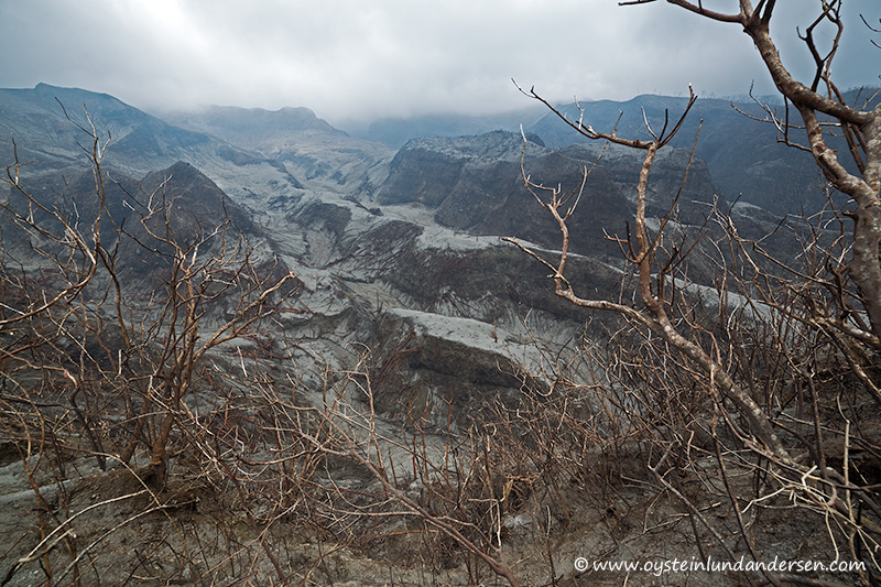 17. 2km from the crater area, and everything has been burnt or covered by deposits. (22th February - 12:04)