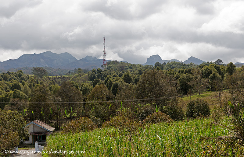 Photo nr. 1. Kelud seen from the PVMG Volcano observatory. 5km from the crater-area. (22th February -11:14 local time)