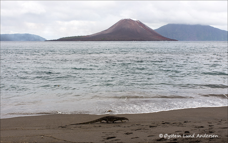 Krakatau-april-2013-(IMG_2950)