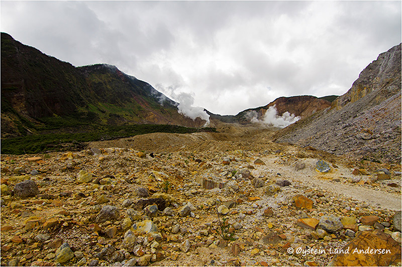 Panorama of the largly escavated inside of the Papandayan horseshoe-shaped crater.