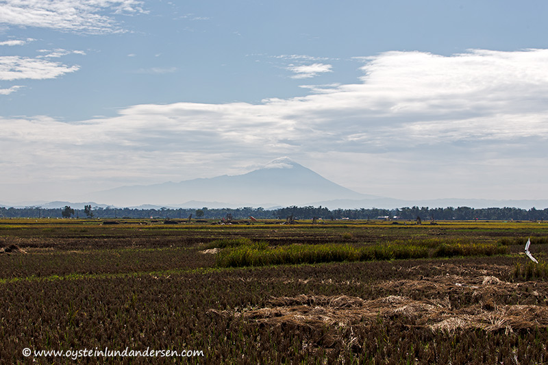 Slamet seen from the south