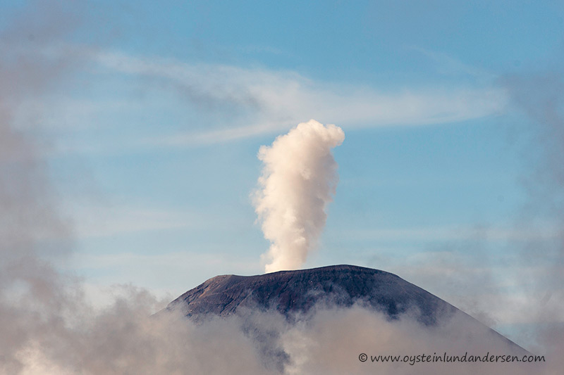Semeru erupts in the morning. The eruption cloud seem to contain little or no ash, these days. (08:42)