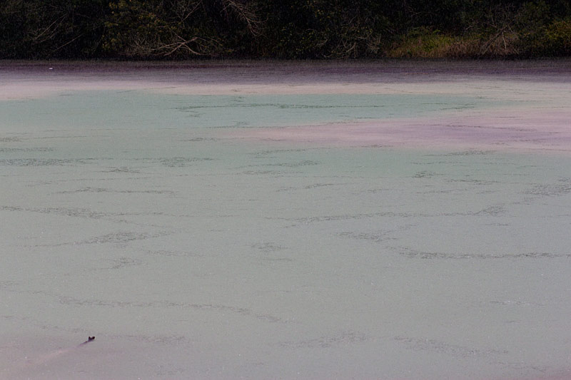 Telaga Warna crater lake.