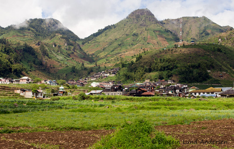 The Dieng Plataeu has good soils for farming, and potatoes from this part of Java is well known in Indonesia.