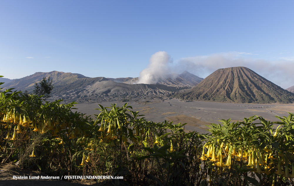 Bromo Volcano November-2015 Indonesia Tengger Caldera