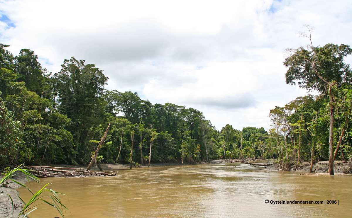 Kaure Aurina Lereh Papua rainforest Nawa-river 2006
